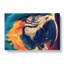 Geometric Macaw Parrot In Abstract - Wrapped Canvas-55311607