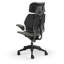 Freedom Headrest Ergonomic Task Chair - Autumn-1383268637