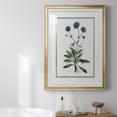 " Soft Botanical II "