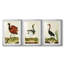Heron Portrait IV - reproduction encadrée sur mesure de qualité supérieure mate - 3 pièces-1822660505-1822660509