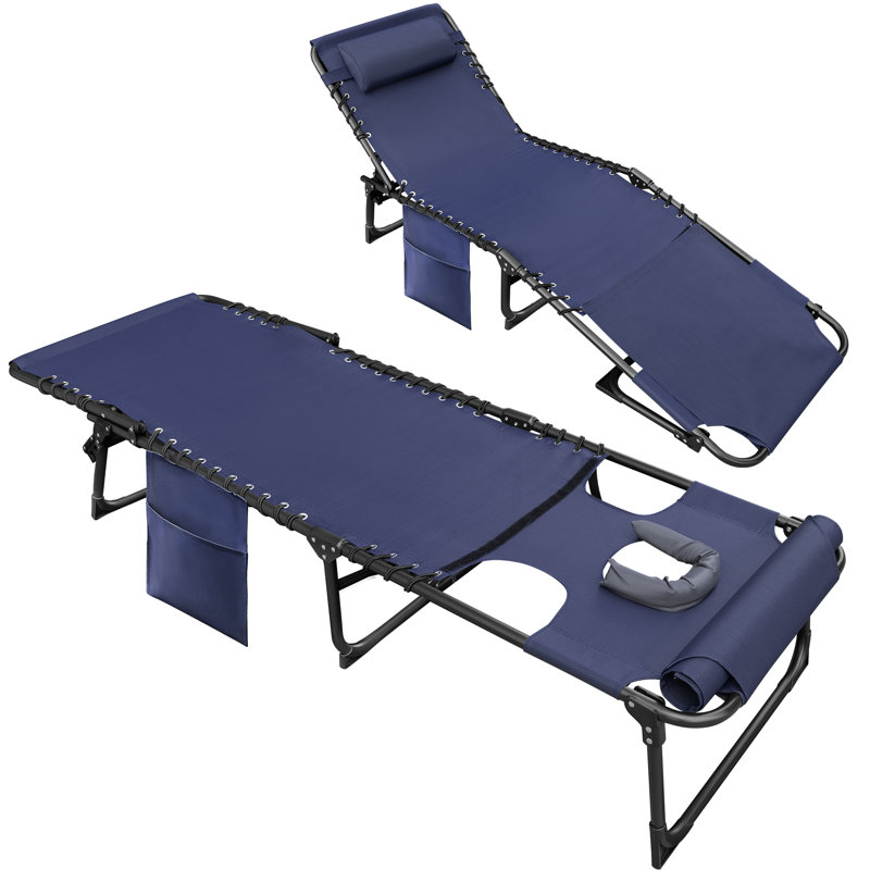 Arlmont & Co. Outdoor Metal Chaise Lounge(Set of two), Blue