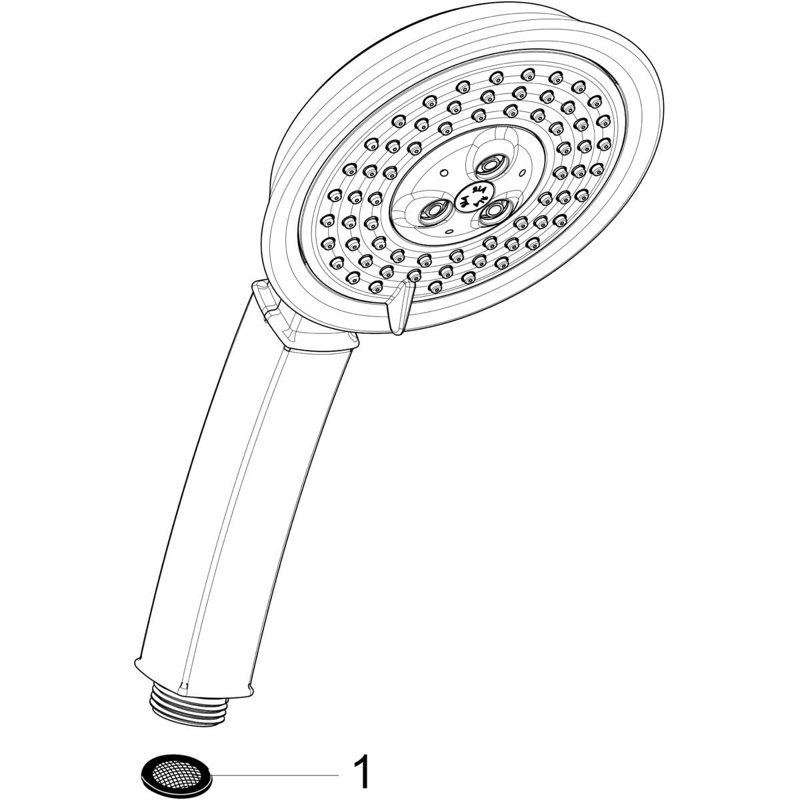Raindance C 100 3-Jet Rain Handheld Shower Head, Chrome