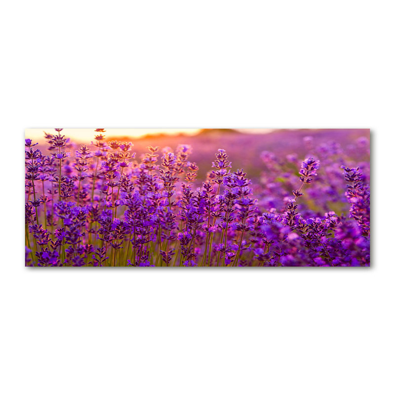 Lavender Field - Wrapped Canvas Print