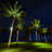 Solar LED Twinkle Holiday Lighting-294502520