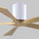60" Irene 5-Blade Hugger Ceiling Fan with Wall Remote