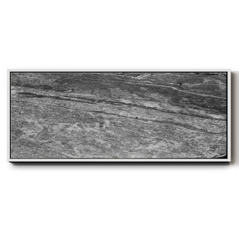 Found Textures VIII- Framed Canvas, 20" H x 50" W