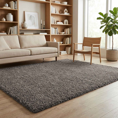Ainsley Plain Living Room Shaggy Area Rug Modern Soft Pile Polyester Rug