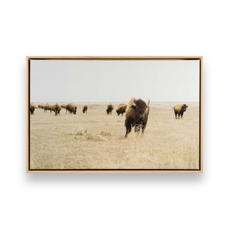 Impression sur toile Wild Plains, Cadre américain en érable flottant, H 12,75 po x l 18,75 po x P 1,75 po