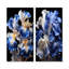 Ensemble de salon mural blanc et bleu Irises Elegance I - Irises-102578179-102578182