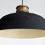 Mesmer Single Light Iron Dimmable Pendant