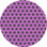 Wool Indoor Rug