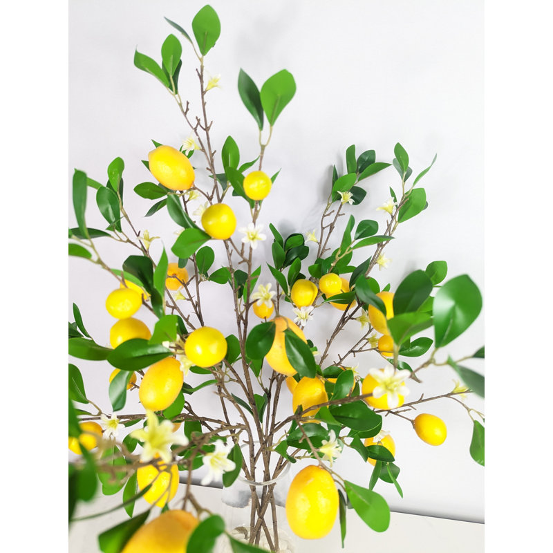Arrangement de citron dans un vase (6 grandes tiges)