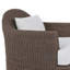 Doane Outdoor Swivel Lounge Chair