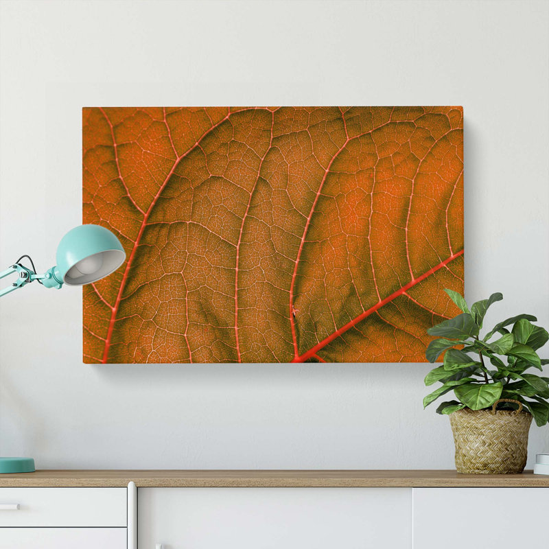 Leaf Veins - Wrapped Canvas, 35cm H x 50cm W x 3cm D