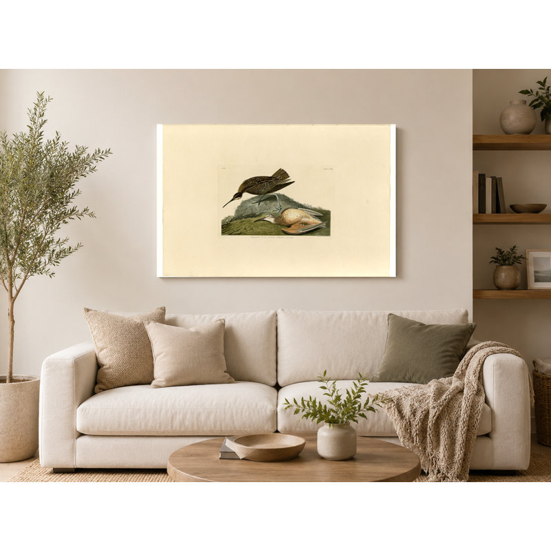 Esquimaux courlis, plaque CCV III (1835) - art mural sur toile paysage, 14" W x 11" H