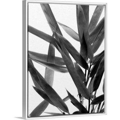 Art mural sur toile B&W Bamboo IV