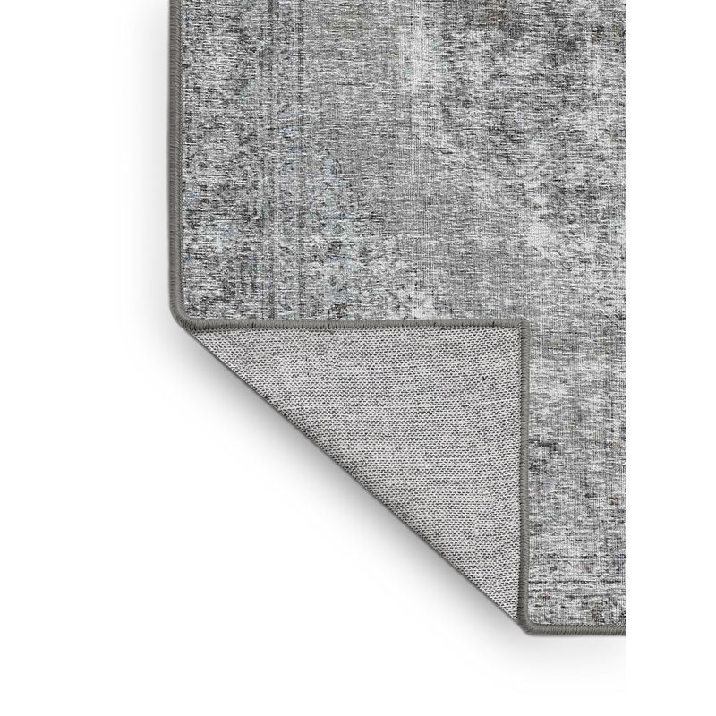 Aizaiah Oriental Indoor Rug, Rectangle 2' x 3'