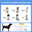 Beonica Polyester Pet Bed-157181110