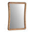 Malakai Rectangle Mirror