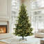 Christmas Tree-134486475