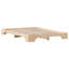 Bed Frame Solid Pine Wood-2058417871-2058417864