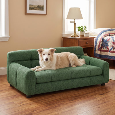 Canapé rectangulaire pour animaux avec dossier de soutien, accoudoirs courbés et pieds à profil bas - Couchette surélevée confortable pour petits et moyens chiens