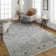 Hoeft Oriental Indoor Rug
