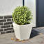 Asua Metal Planter Box-1391832533-1391832529