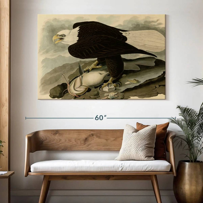 Aigle à tête blanche Brampt, H 34 po x l 51 po