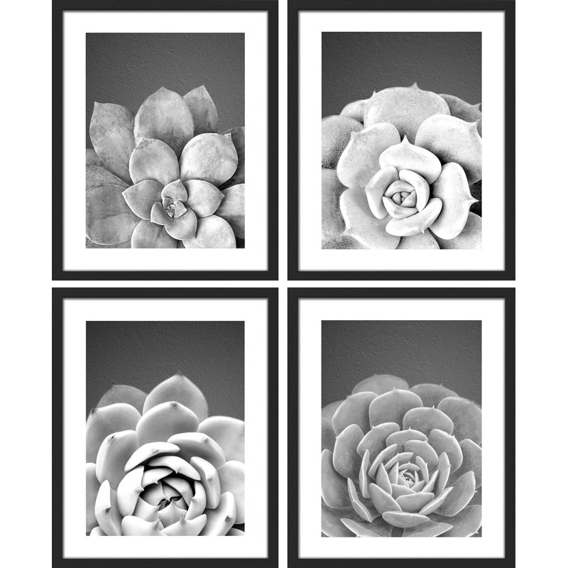 Cactus succulent noir et blanc en niveaux de gris Southwest, Noir, H 14 po x l 11 po