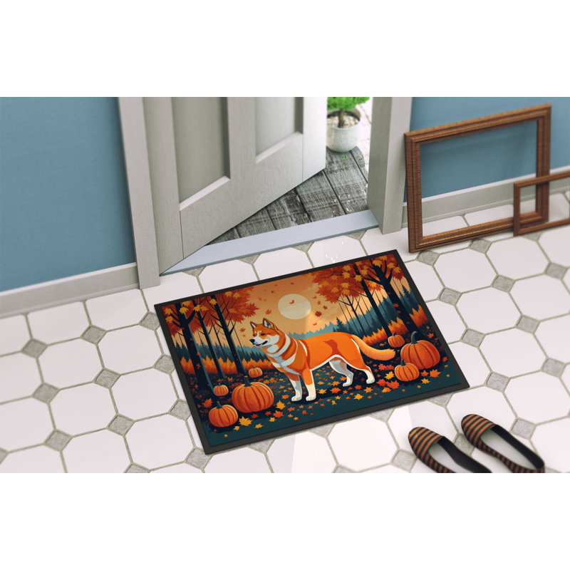 Paillasson intérieur antidérapant Odelinda Akita, L 24 po x L 36 po