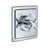 Polished Chrome