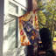 Chat en feuilles d'automne-112700515