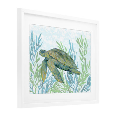 «Tasman Turtle in Seagrass», reproduction encadrée sous verre, conception de Paul Brent