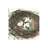 Nesting Eggs I by Samuel Dixon - Wrapped Canvas Painting-553322558