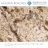 FlexStone® 60"W x 36"D Alcove Shower Base with Center Drain in Golden Beaches-68205791