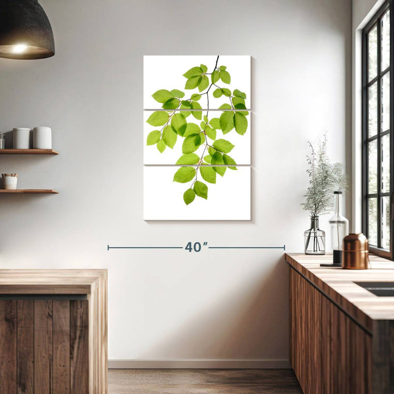 Hêtre Harnek à feuilles vertes, H 38 po x l 24 po