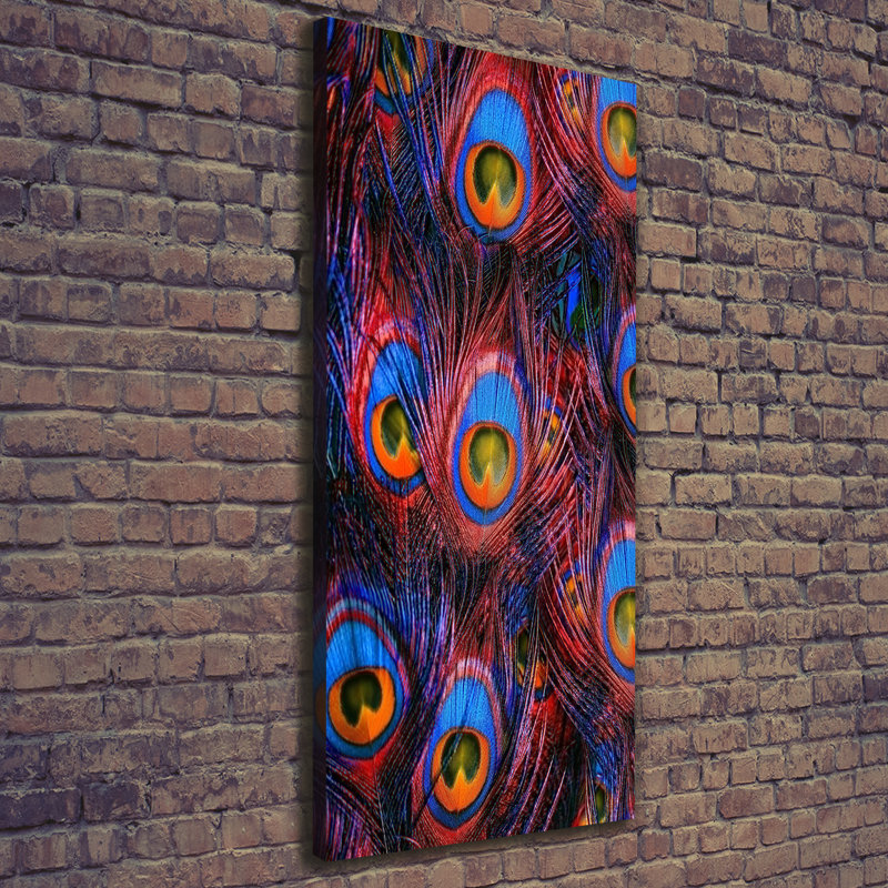 Peacock Feathers - Wrapped Canvas Print