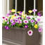 Faux Petunias Window Box Filler in Pot