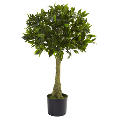 3ft. Bay Leaf Topiary UV Resistant (Indoor/Outdoor)