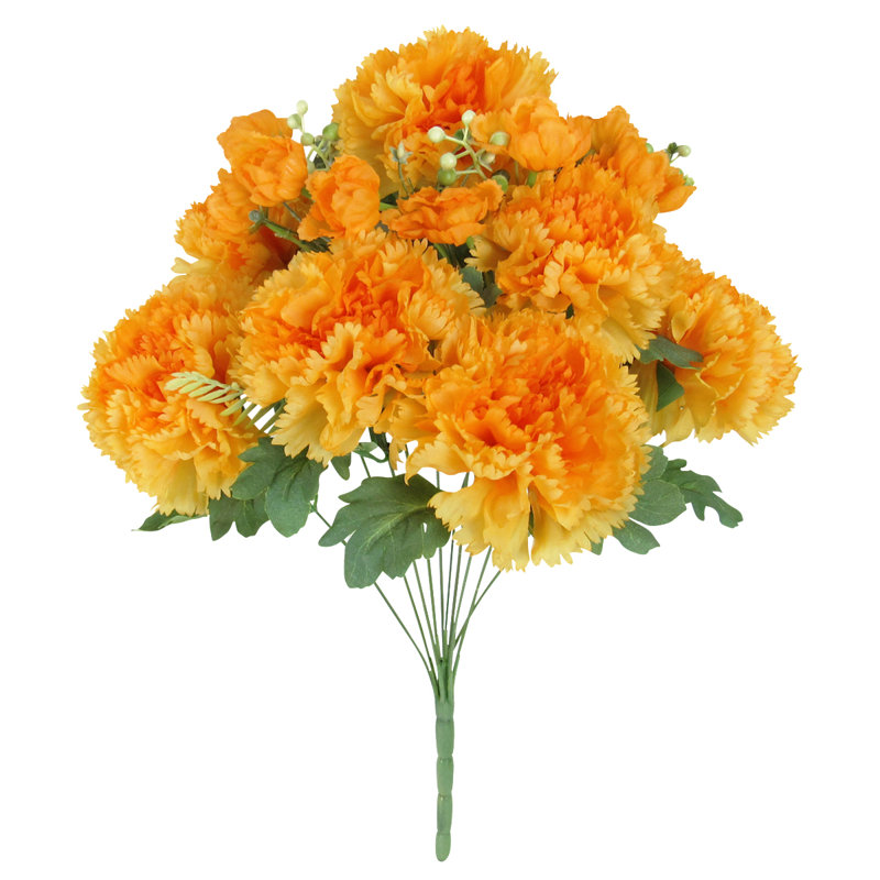 Oeillet, Jaune / orange
