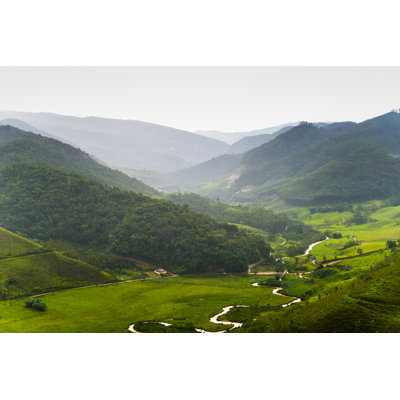 Brazil by Igor Alecsander