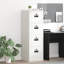 Storage Cabinet-1260249094