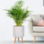 Plaited Style Cylinder Round Planter with Feet-2146352483-2146352480