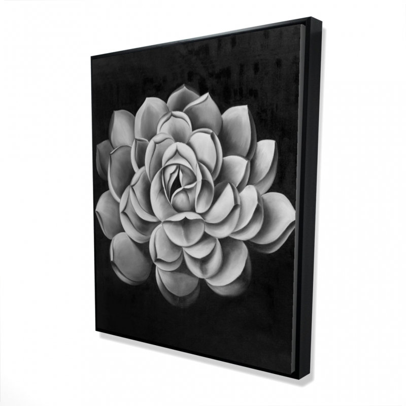 Black And White Succulent Print On Canvas