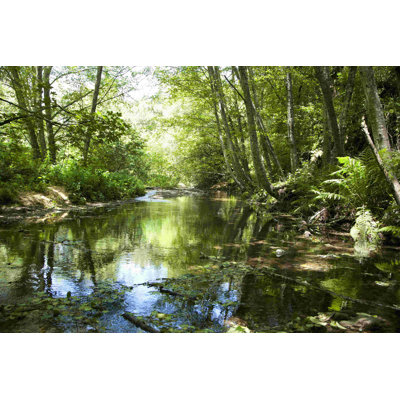 " Scene Along The Water III " by Golie Miamee