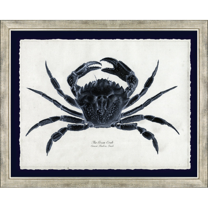 Le crabe vert - peinture encadrée sur papier