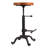 Dicle Swivel Adjustable Height Counter Stool with Metal Frame-1586669238