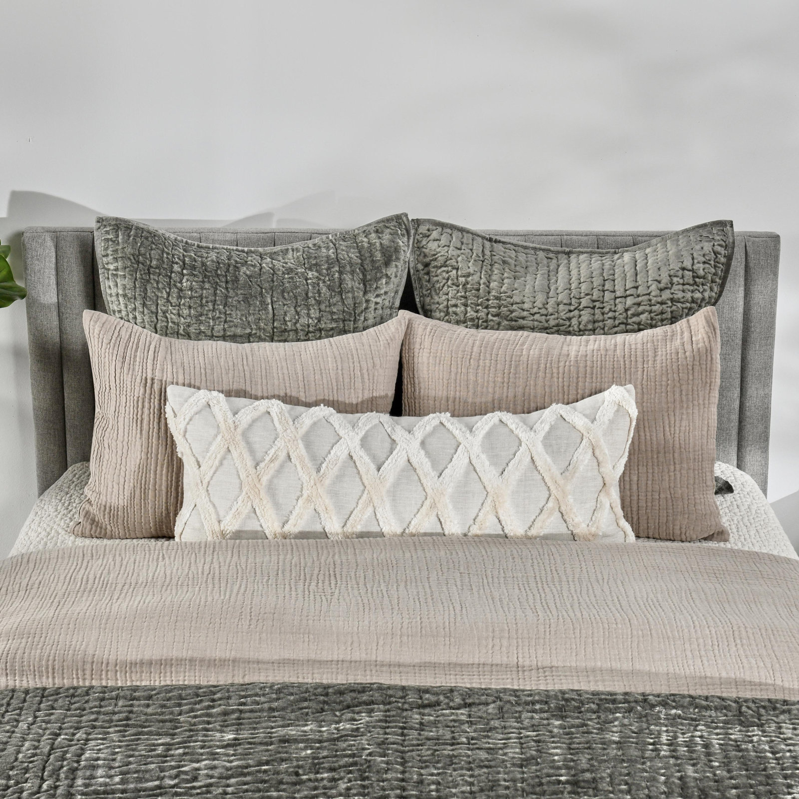 Lucio Shams, King, Sage Green