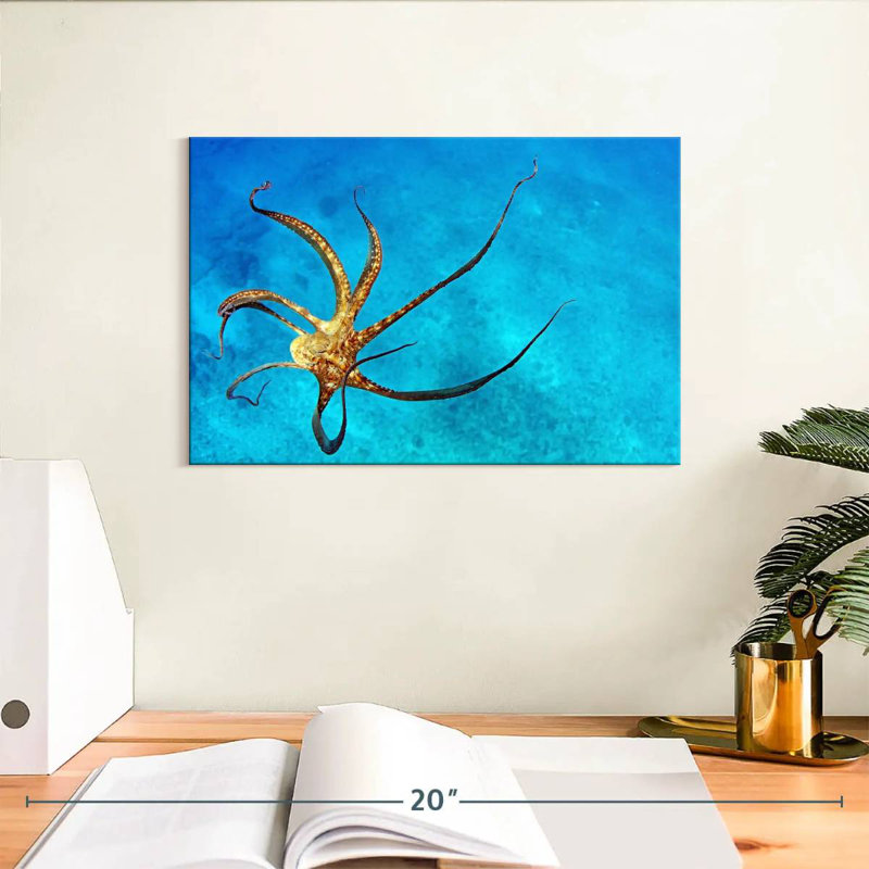 Brampt Wild Octopus Tentacles, 8" H x 12" W